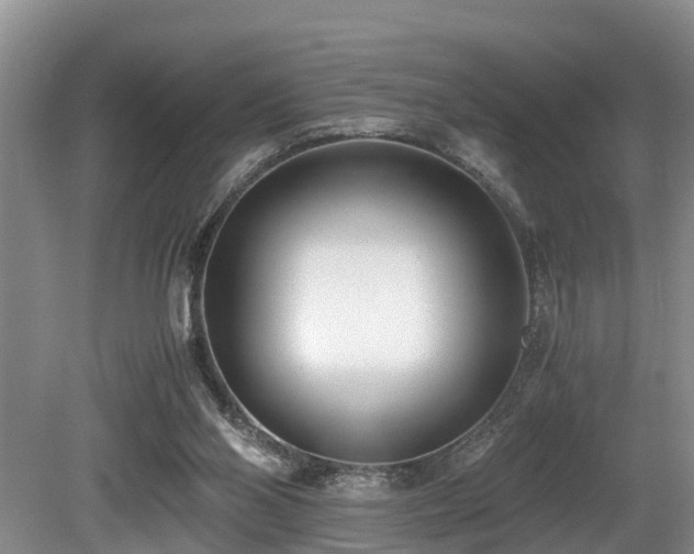 X0000080700110200612151325