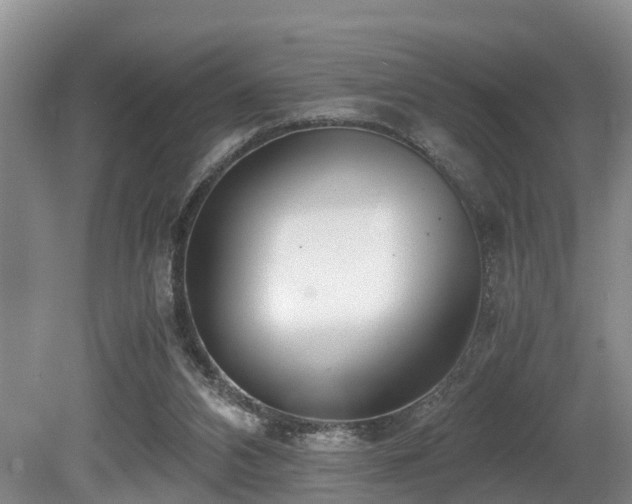 X0000080700112200612151325