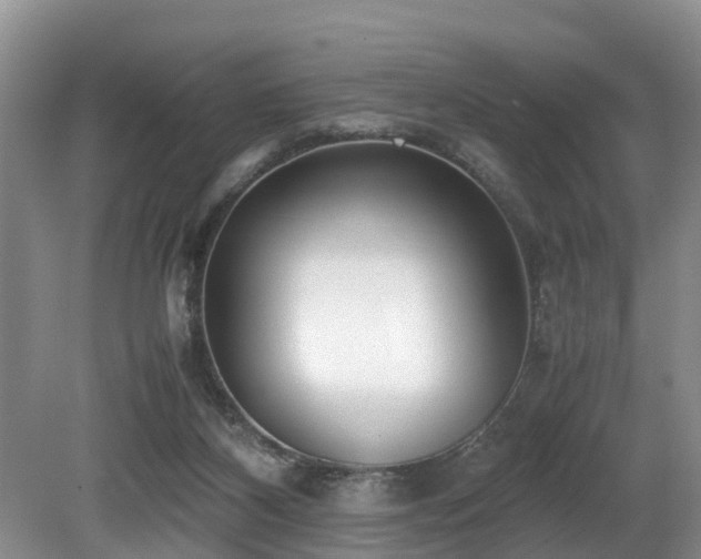 X0000080700116200612151325