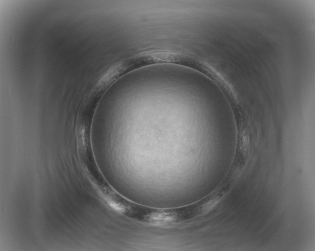 X0000080700117200612151325