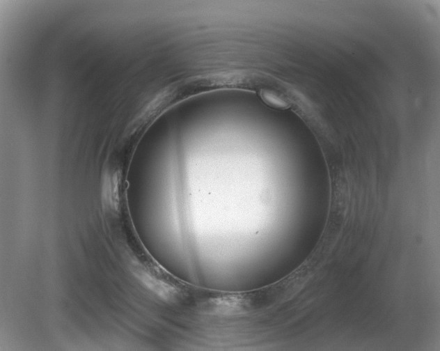 X0000080700118200612151325