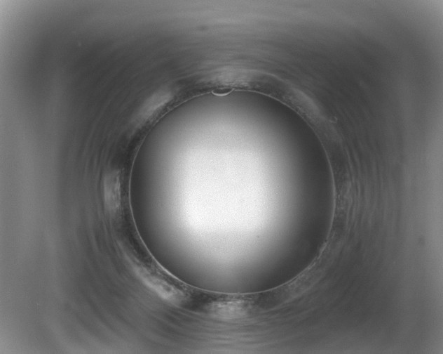 X0000080700120200612151325