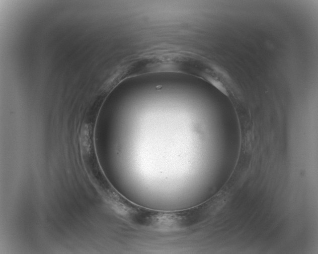 X0000080700121200612151325