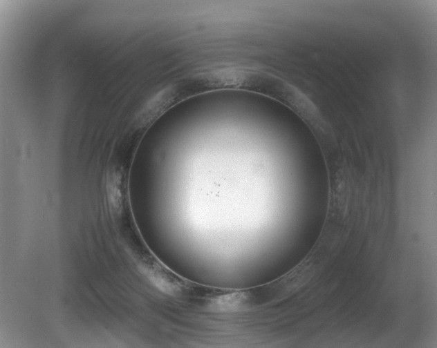 X0000080700122200612151325