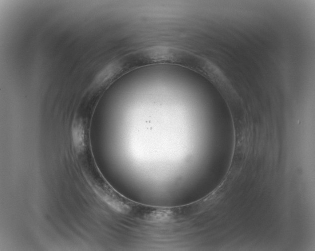 X0000080700124200612151324