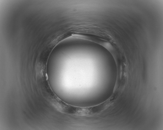 X0000080700125200612151324