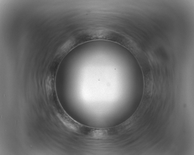 X0000080700126200612151324