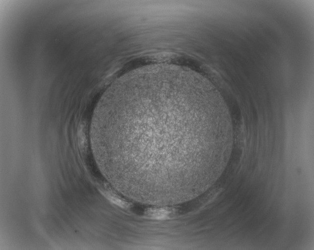 X0000080700131200612151324