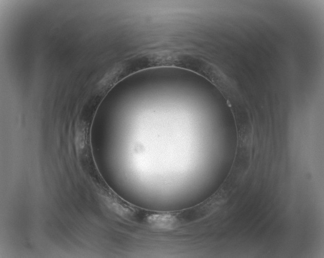 X0000080700133200612151324