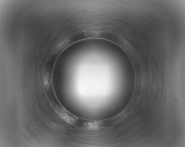 X0000080700134200612151324