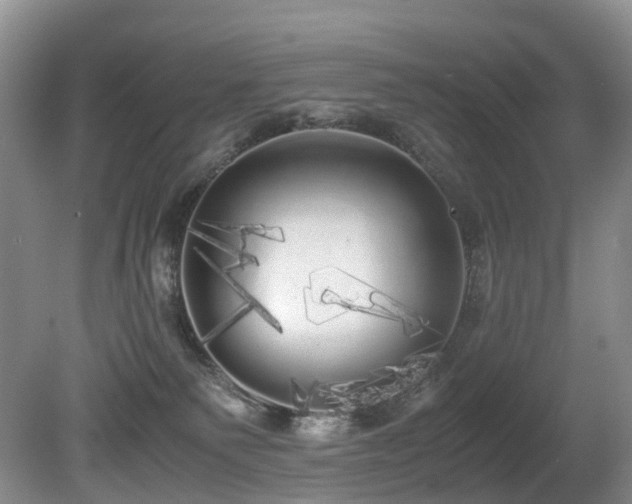 X0000080700135200612151324
