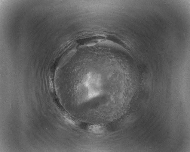 X0000080700139200612151324