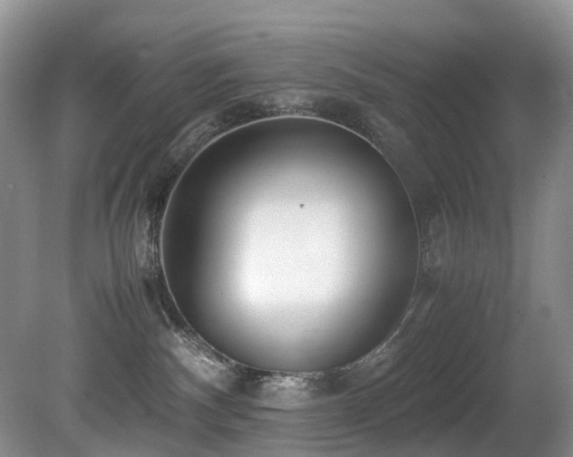 X0000080700140200612151324