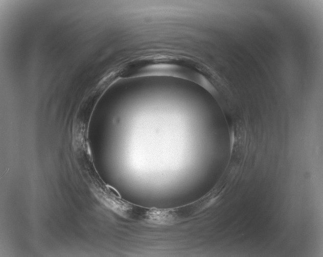 X0000080700141200612151324