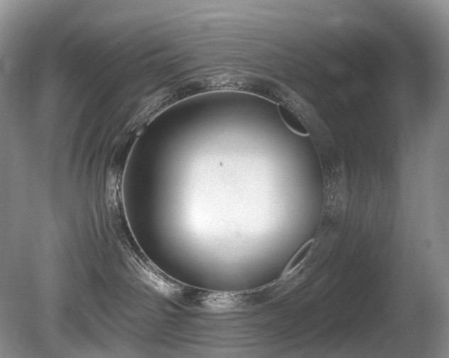 X0000080700142200612151324