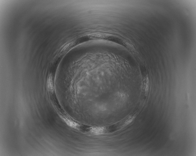 X0000080700143200612151324
