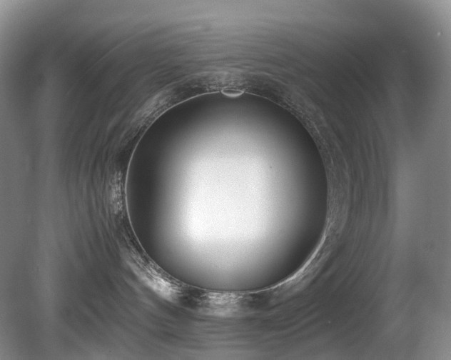 X0000080700144200612151324