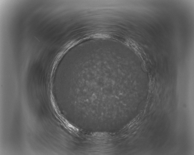 X0000080700145200612151323