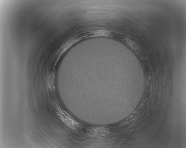 X0000080700146200612151323