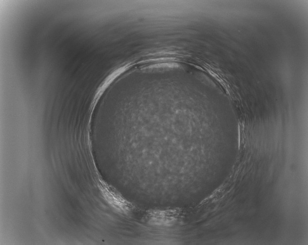 X0000080700147200612151323