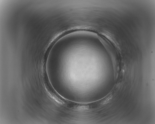 X0000080700156200612151324