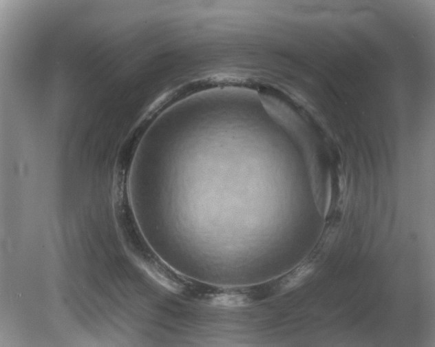 X0000080700168200612151324