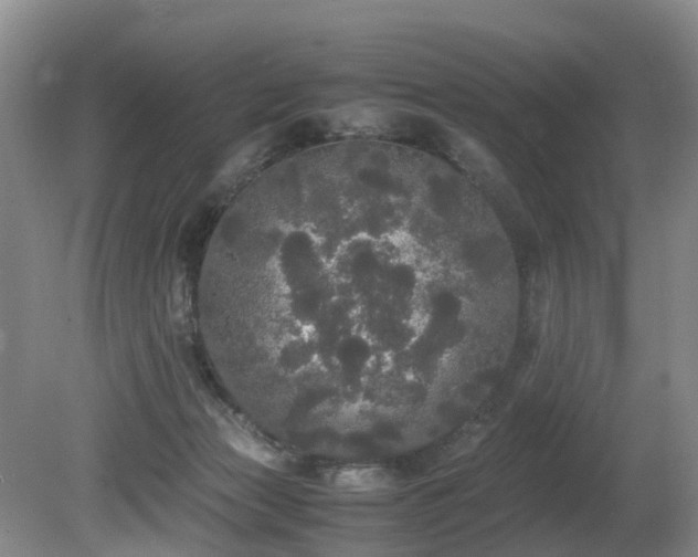 X0000080700173200612151324