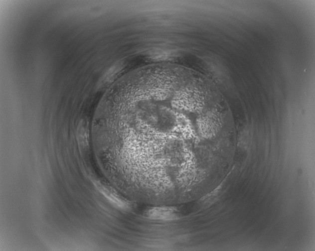 X0000080700179200612151324