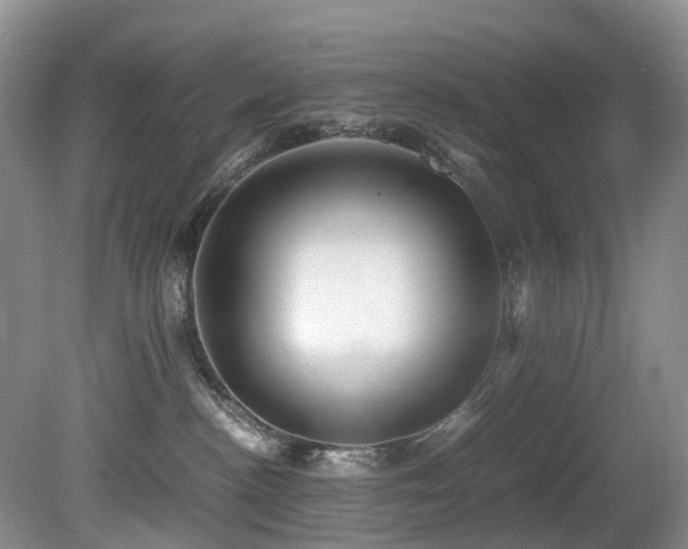 X0000080700188200612151324