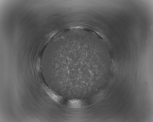 X0000080700189200612151324