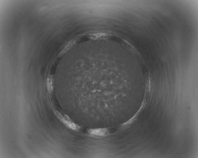 X0000080700191200612151324