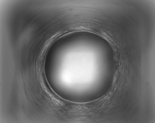 X0000080700193200612151323