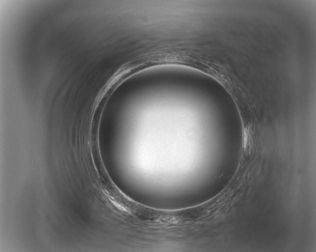 X0000080700195200612151323