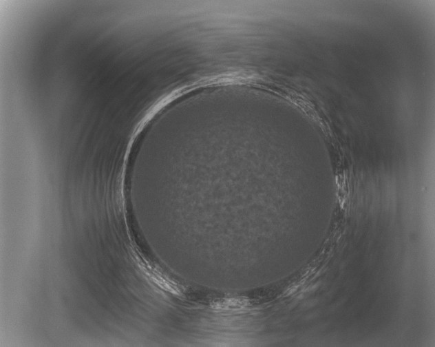 X0000080700196200612151323