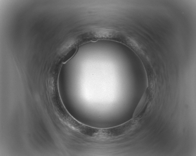 X0000080700211200612151323