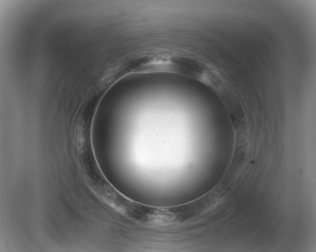 X0000080700215200612151323