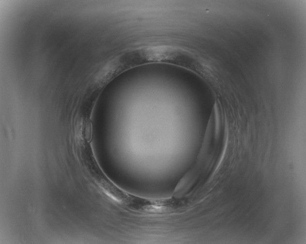 X0000080700219200612151323