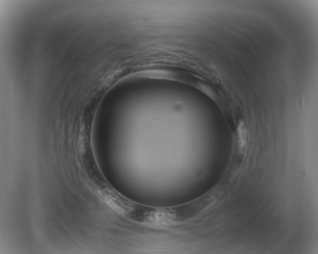 X0000080700223200612151323