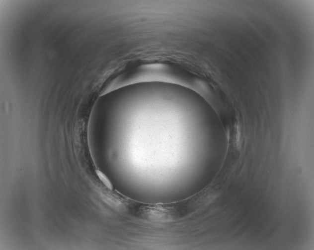 X0000080700229200612151323