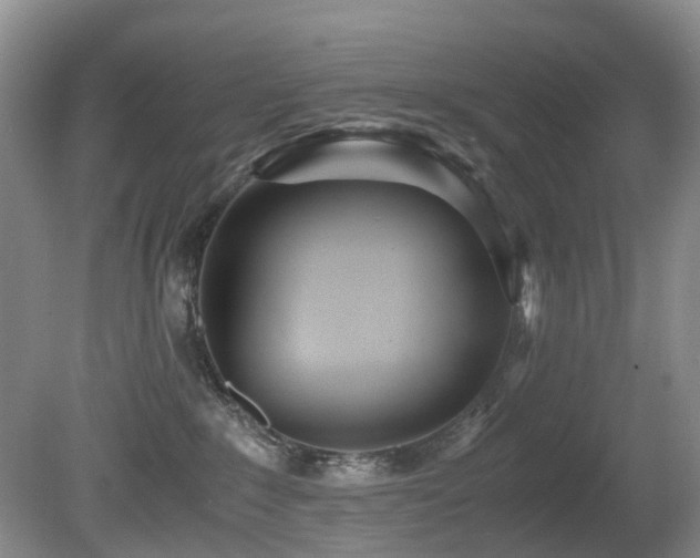 X0000080700235200612151323