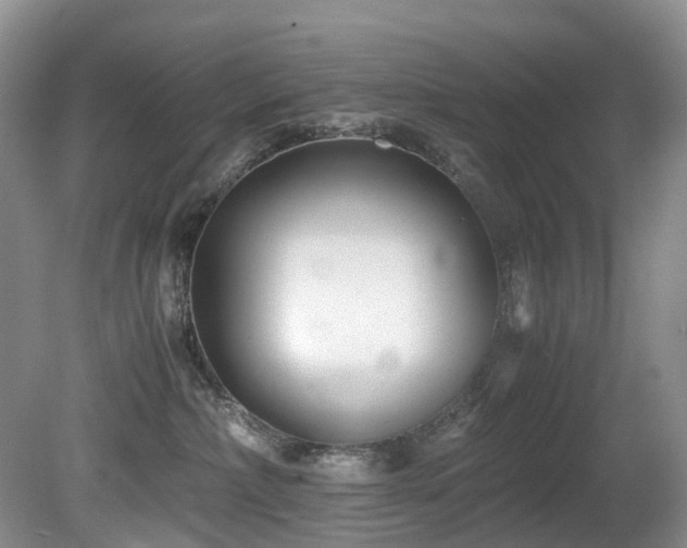 X0000080700236200612151323