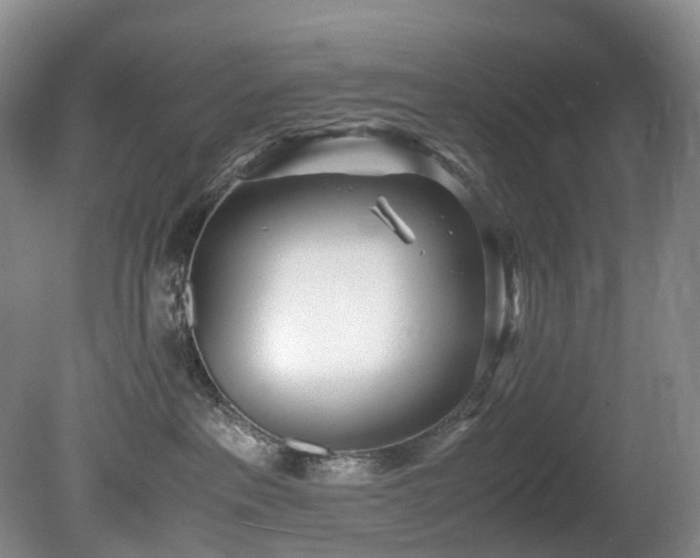 X0000080700237200612151323