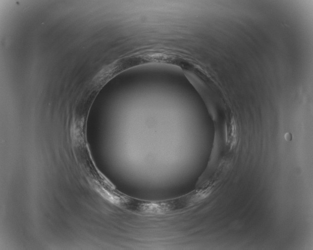 X0000080700239200612151323