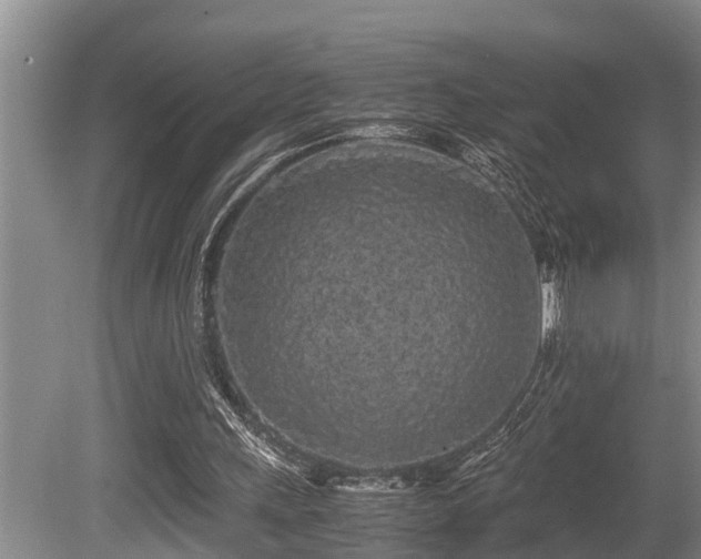 X0000080700243200612151322