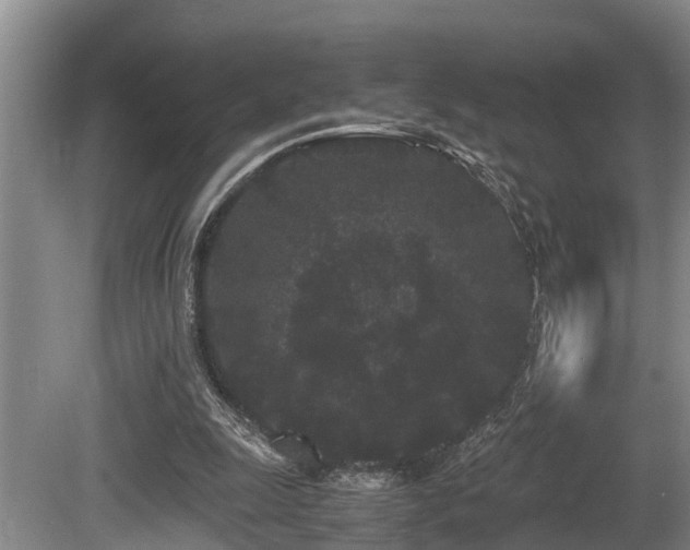 X0000080700247200612151322
