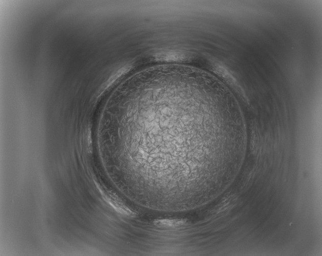 X0000080700251200612151322