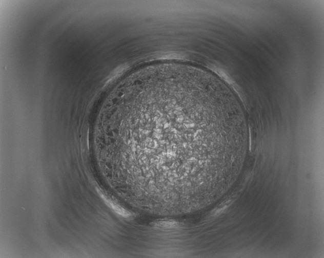 X0000080700253200612151322