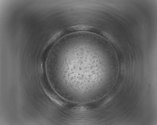 X0000080700254200612151322