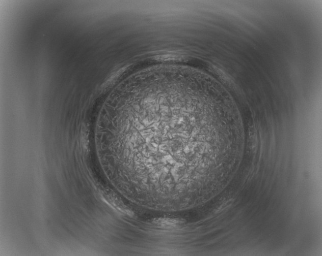 X0000080700255200612151322