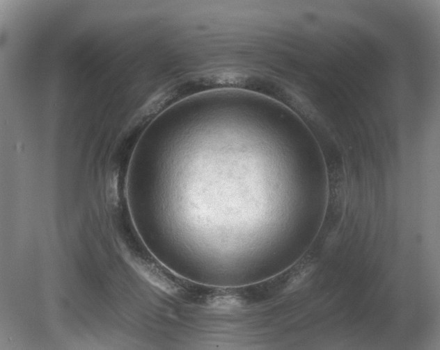 X0000080700262200612151322